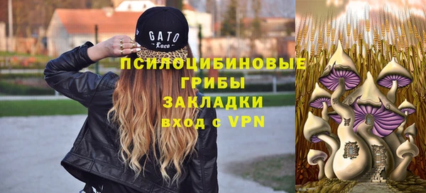 соль курить ск Армянск