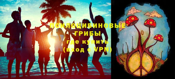 ешки Аркадак