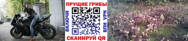 Галлюциногенные грибы мицелий  Ханты-Мансийск 